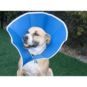 Vet One ElizaSoft Recovery Collar - White/Blue M(6.5in)